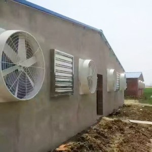 養殖黄瓜官网入口